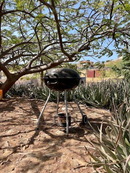Casa Aloe Vera - Private House W/ Free Breakfast Cidade Velha 외부 사진